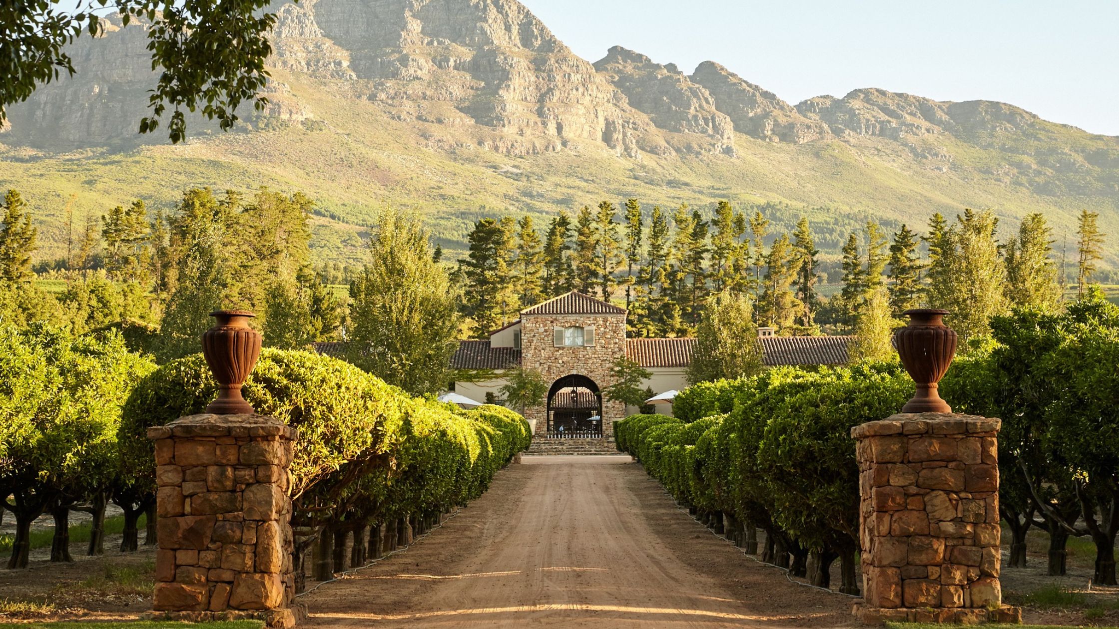 Cape Winelands Luxury
